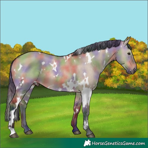 Horse Color:Nacre White Spotted Brown Dun