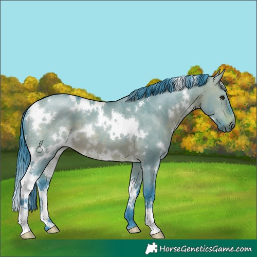 Horse Color:Watercolor White Spotted Brown Dun