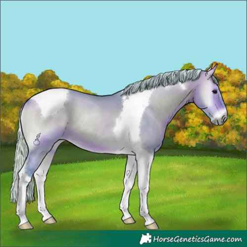 Horse Color:Watercolor Silver Bay Onyx Tobiano