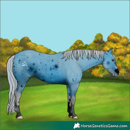 Horse Color:ERROR: UNKNOWN ANOMALY