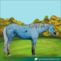 Horse Color:ERROR: UNKNOWN ANOMALY