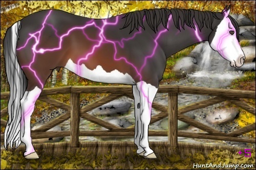 Horse Color:Brown Splash 