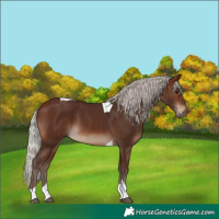 Horse Color:Silver Brown Tobiano
