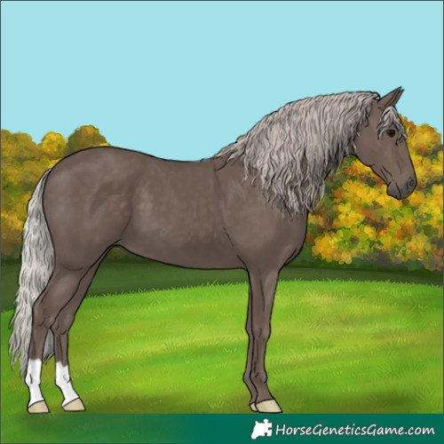Horse Color:Silver Black 