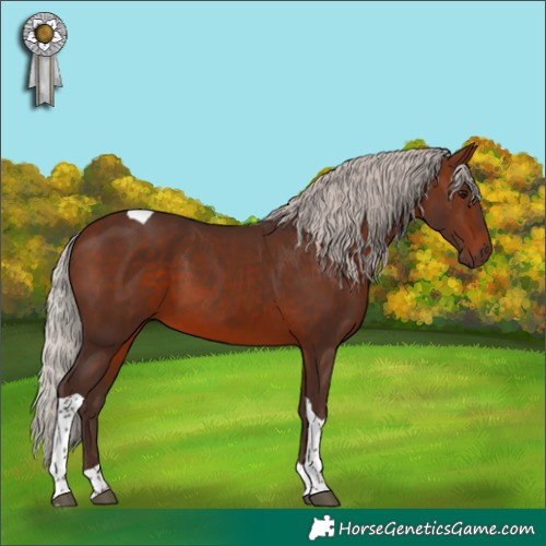 Horse Color:Silver Brown Tobiano
