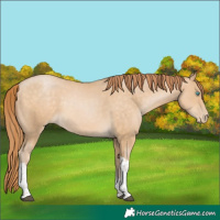 Horse Color:Brown Tobiano Rabicano