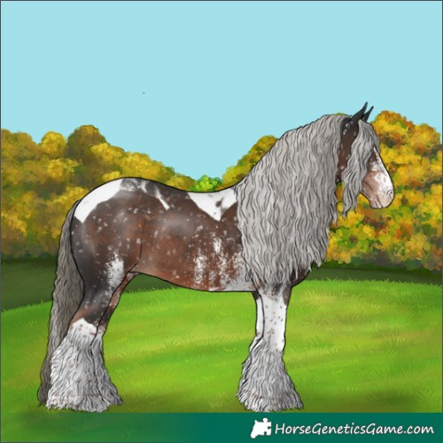 Horse Color:White Spotted Liver Chestnut Mushroom Tobiano Snowflake Varnish Rabicano