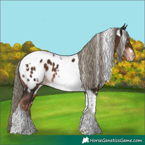 Horse Color:White Spotted Liver Chestnut Mushroom Tobiano Blanket 