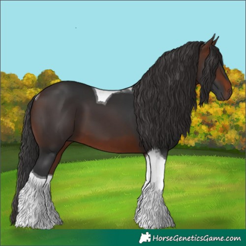 Horse Color:Brown Tobiano 