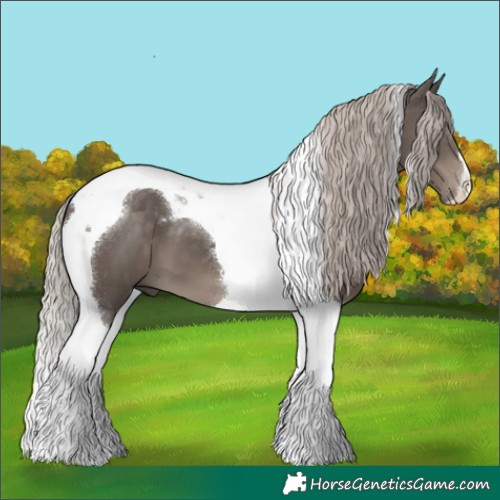 Horse Color:Silver Black Tobiano 