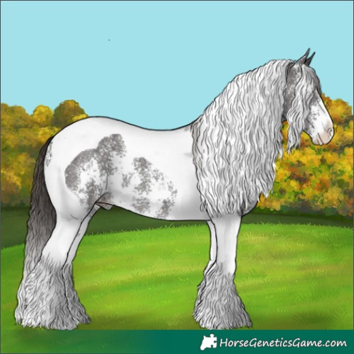 Horse Color:Liver Chestnut Sabino Tobiano 