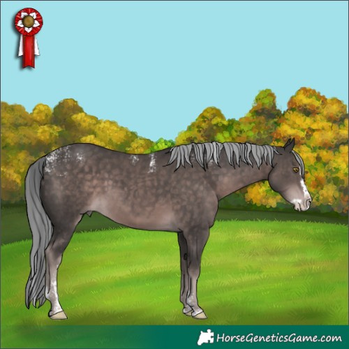 Horse Color:Powder White Platinum Liver Chestnut Mushroom Splash 