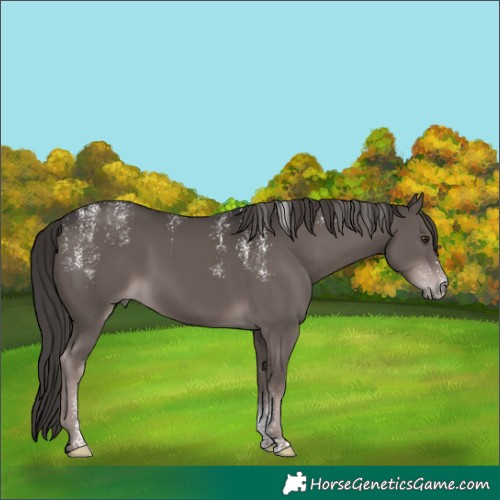 Horse Color:Powder White Platinum Liver Chestnut