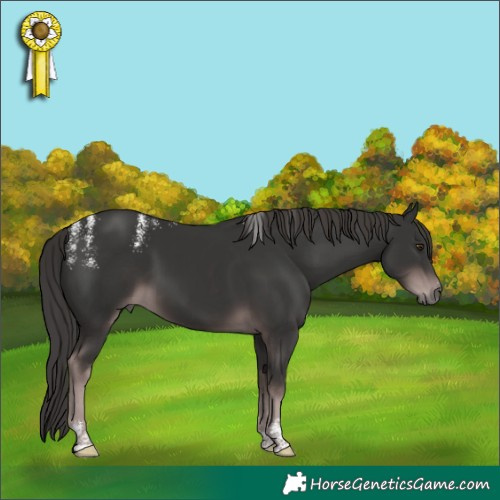 Horse Color:Powder White Platinum Liver Chestnut 
