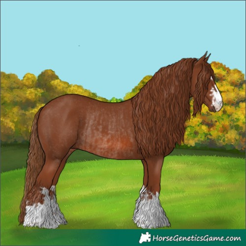 Horse Color:Chestnut  and Chestnut Rabicano 