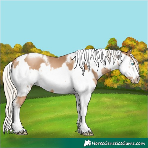 Horse Color:Chocolate Palomino Pearl Tobiano Frame and Chocolate Palomino Pearl Tobiano Frame