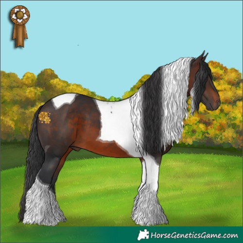 Horse Color:Brown Tobiano