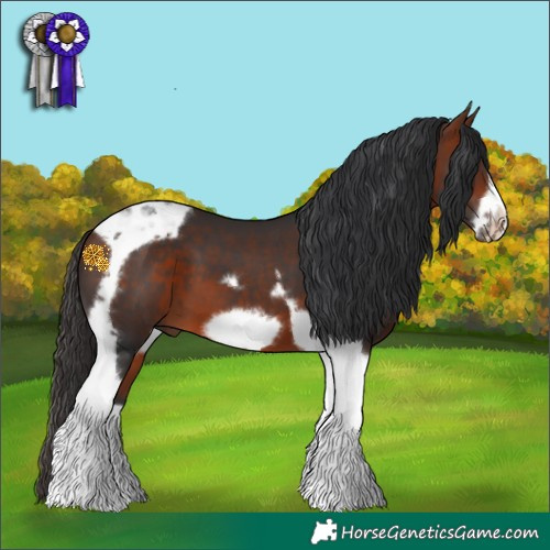 Horse Color:Bay Tobiano Frame 
