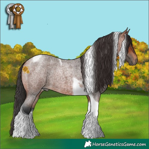 Horse Color:Bay Roan Tobiano