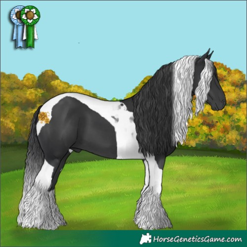 Horse Color:Black Tobiano 