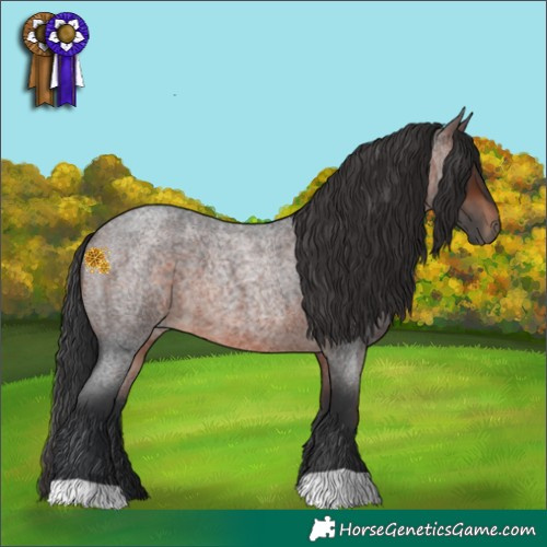 Horse Color:Brown Roan