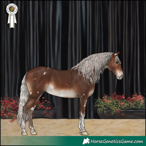 Horse Color:White Spotted Silver Brown Tobiano 