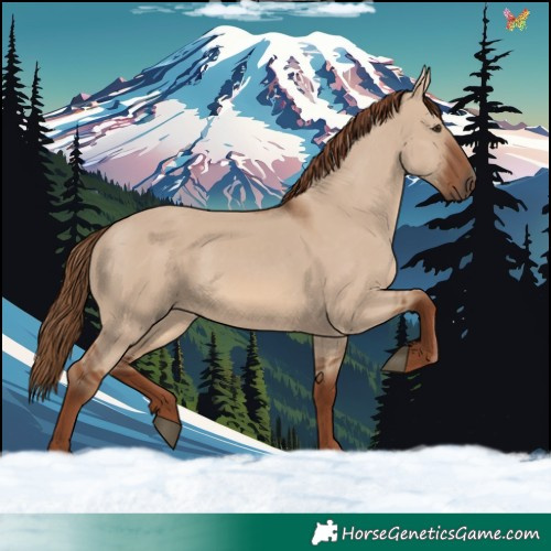 Horse Color:Red Dun