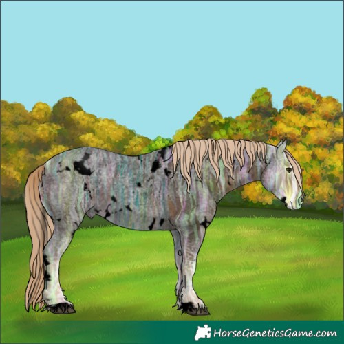 Horse Color:Void White Spotted Chocolate Palomino Ice Roan 