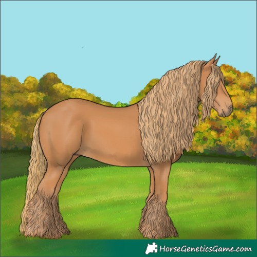 Horse Color:Chestnut Rabicano