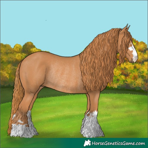Horse Color:Chestnut Rabicano 