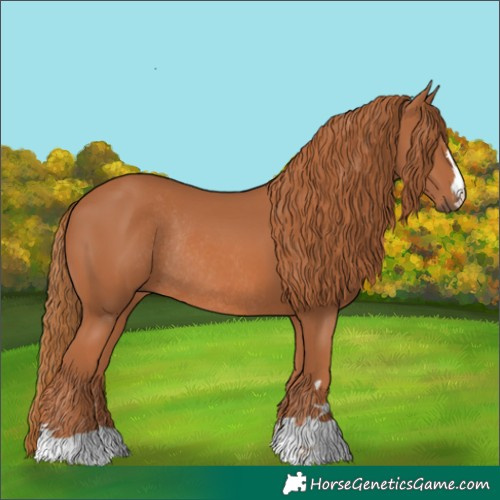Horse Color:Chestnut Rabicano 
