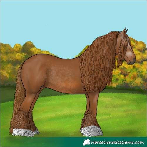 Horse Color:Gray Chestnut Rabicano 