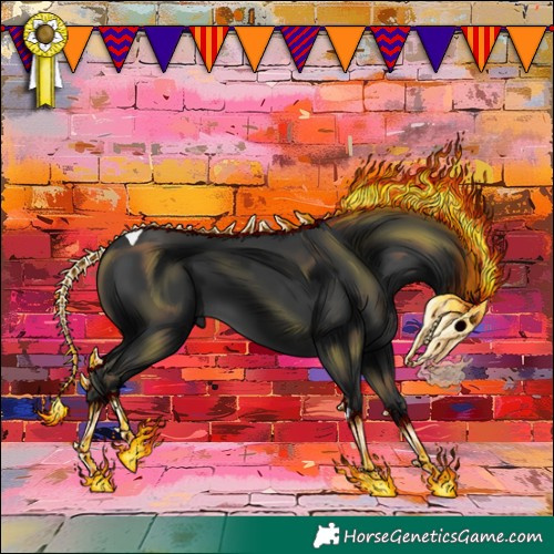 Horse Color:Black Tobiano 