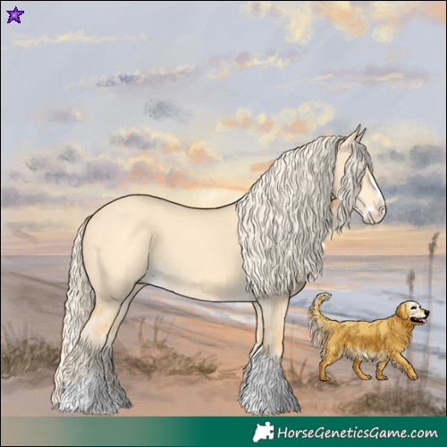 Horse Color:Palomino Dun Splash Tobiano 