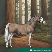 Horse Color:Silver Grullo Splash