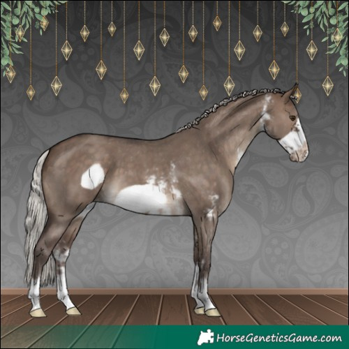 Horse Color:Silver Brown Dun Sabino Frame Appaloosa 