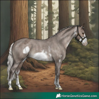 Horse Color:Silver Brown Dun Sabino Frame Varnish