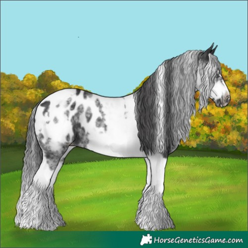 Horse Color:White Spotted Black Splash Tobiano Frame Near Leopard 
