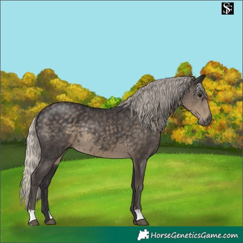 Horse Color:Silver Smoky Black