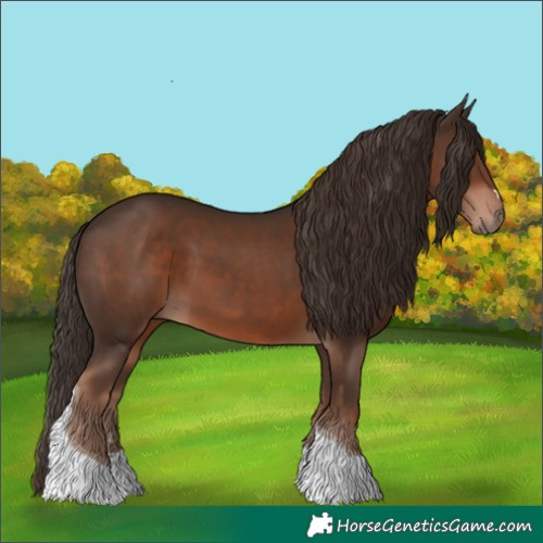 Horse Color:Liver Chestnut Tobiano 
