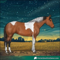Horse Color:Bay Tobiano