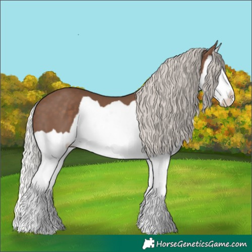 Horse Color:Silver Black Splash 