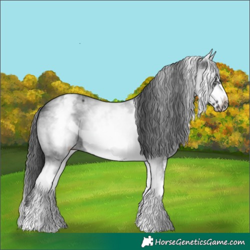 Horse Color:White Spotted Black Sabino Frame 