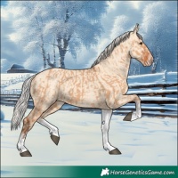 Horse Color:White Spotted Silver Bay Dun Rabicano and White Spotted Silver Amber Champagne Dun Rabicano