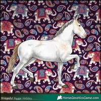 Horse Color:White Spotted Red Dun Rabicano  and White Spotted Red Dun Rabicano 