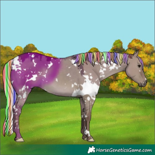 Horse Color:Painted White Spotted Silver Grullo