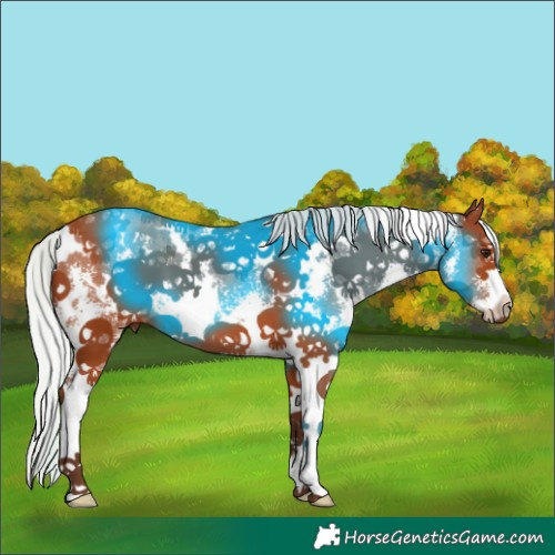 Horse Color:White Spotted Silver Bay Sabino