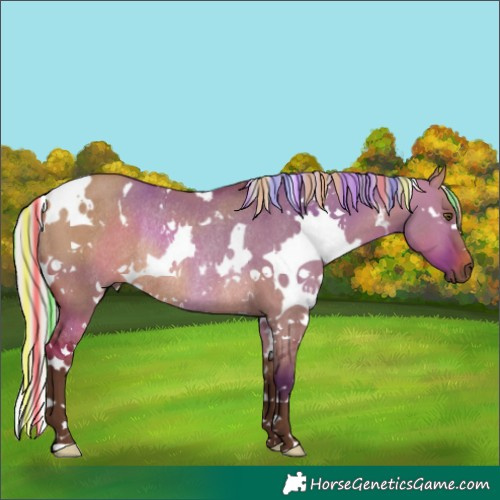 Horse Color:Painted White Spotted Silver Brown Dun Rabicano