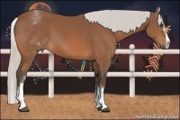 Horse Color:White Spotted Silver Bay Splash 