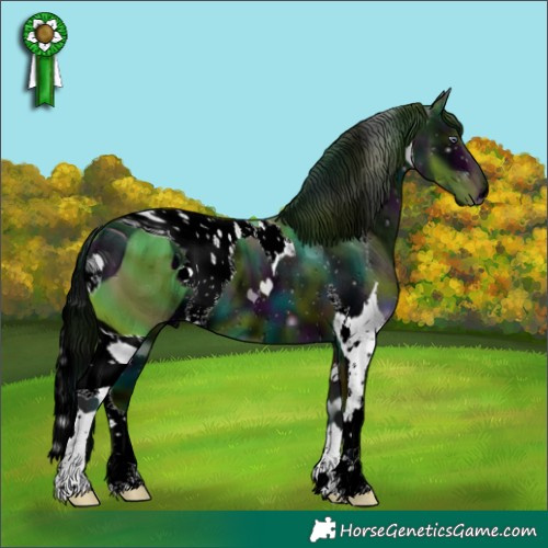 Horse Color:ERROR: UNKNOWN ANOMALY